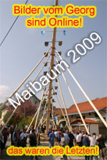 maibaum