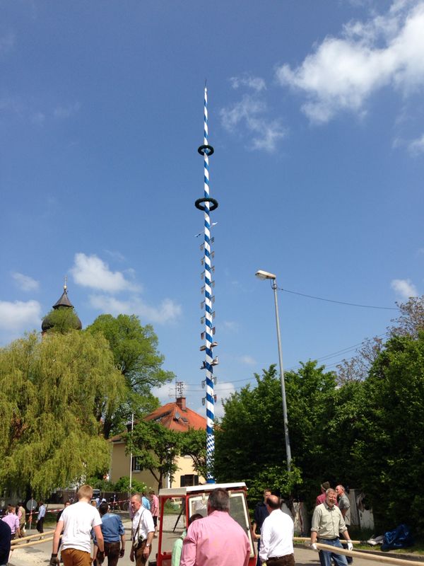 maibaum2014